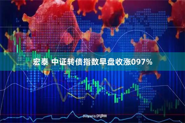 宏泰 中证转债指数早盘收涨097%
