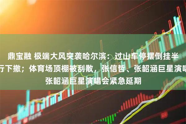 鼎宝融 极端大风突袭哈尔滨：过山车停摆倒挂半空，游客步行下撤；体育场顶棚被刮散，张信哲、张韶涵巨星演唱会紧急延期