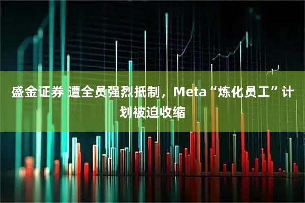 盛金证券 遭全员强烈抵制，Meta“炼化员工”计划被迫收缩