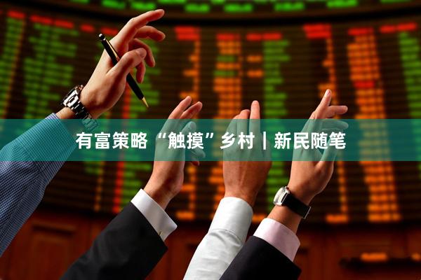 有富策略 “触摸”乡村｜新民随笔