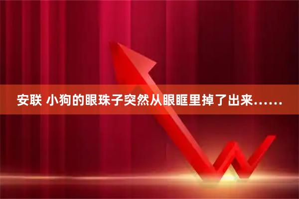 安联 小狗的眼珠子突然从眼眶里掉了出来……